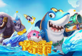 595cc开元官网版手机版