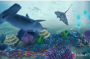 595cc开元官网版手机版