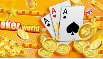 595cc开元官网版2024最新版