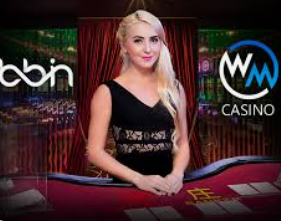 595cc开元官网版2024最新版